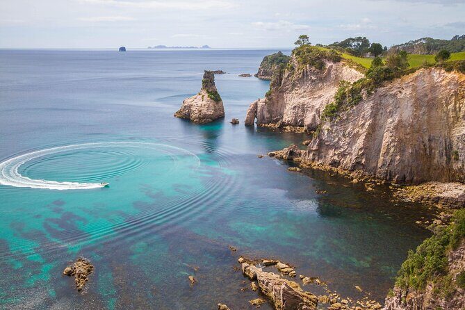 Cathedral Cove & Coromandel, Small-Group Tour from Auckland - An In-Depth Look at the Coromandel Small-Group Tour