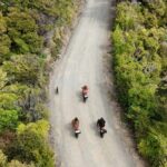 Cathedral Cove Electric Fat Tyre Bike Tour with Local Guide - Why This Tour Offers Great Value