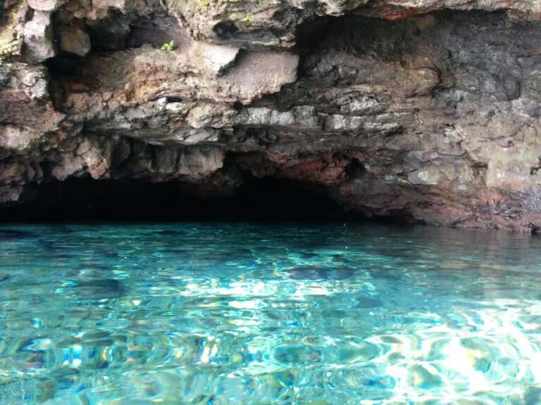 Cave Pool & Lava Tube Swims of Upolu - Value & Overall Impression