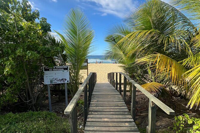 Caves Coastlines and Beach; Cueva del Indio, Arecibo Adventure - FAQs  