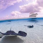 Cayman Adventure Stingrays Starfish plus Crystal Caves - Why This Tour Offers Great Value