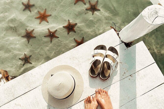 Cayman Ultimate Tour: Stingrays, Starfish Point and Crystal Caves - The Balance of Value and Experience