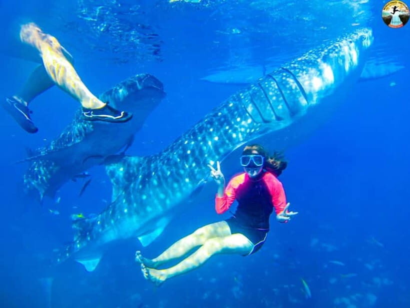 Cebu: 2-Day Island-Hopping, Canyoneering, and Whale Shark - Who Should Consider This Tour?