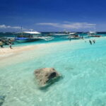 Cebu BEST: Sumilon, Whaleshark and Turtle Snorkeling Tour - An In-Depth Look at the Tour Experience