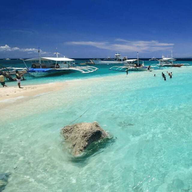 Cebu BEST: Sumilon, Whaleshark and Turtle Snorkeling Tour - An In-Depth Look at the Tour Experience