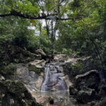 Cebu City: Guided Trekking Experience - Exploring Cebu’s Natural Beauty