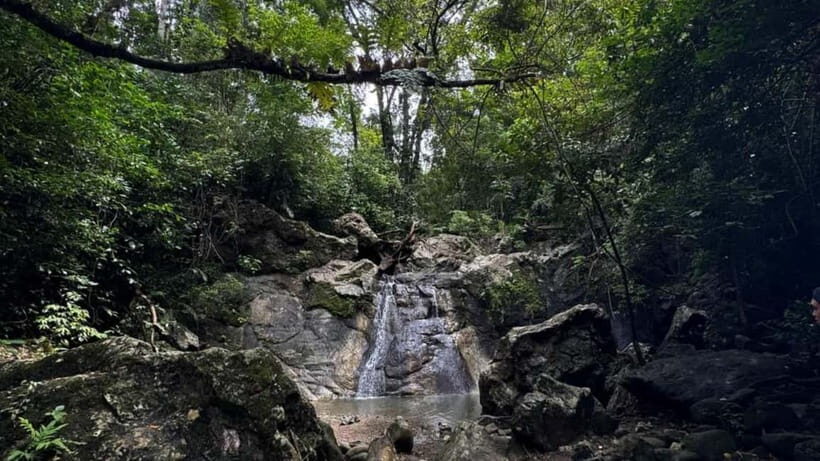 Cebu City: Guided Trekking Experience - Exploring Cebu’s Natural Beauty