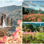 Cebu City Tour (Private Tour) - Final Thoughts: Does This Tour Offer Good Value?