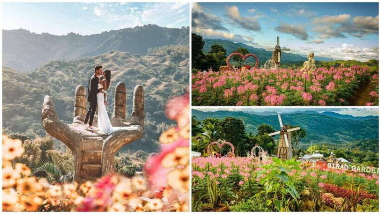 Cebu City Tour (Private Tour) - Final Thoughts: Does This Tour Offer Good Value?