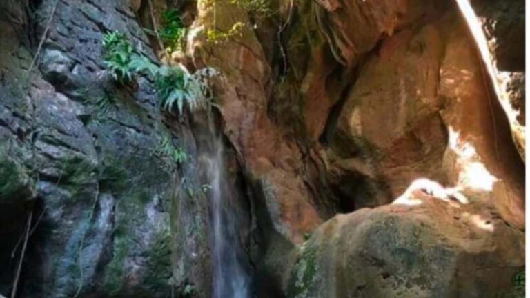 Cebu: Igutan Cave and Waterfalls Hike with Market Visit - Practical Details and What to Expect