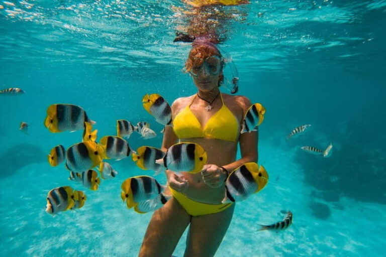 Cebu: Island Hopping 3 Islands + Pandanon Island + Lunch - First Stop: Gilutungan Marine Sanctuary