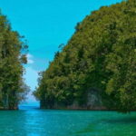 Cebu: Mantayupan Falls, Hermit's Cove & Bojo River Eco Tour - Practical Tips for the Tour