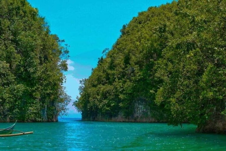 Cebu: Mantayupan Falls, Hermit's Cove & Bojo River Eco Tour - Practical Tips for the Tour