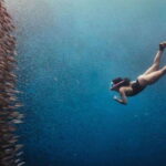 Cebu Moalboal-Badian Tour w/ Set Lunch (Private Tour) - Snorkeling in Moalboal: Sardines, Turtles, and Coral Gardens