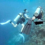 Cebu: Moalboal Scuba Diving, Sardines Run & Pescador Snorkel - Practical Details and Considerations