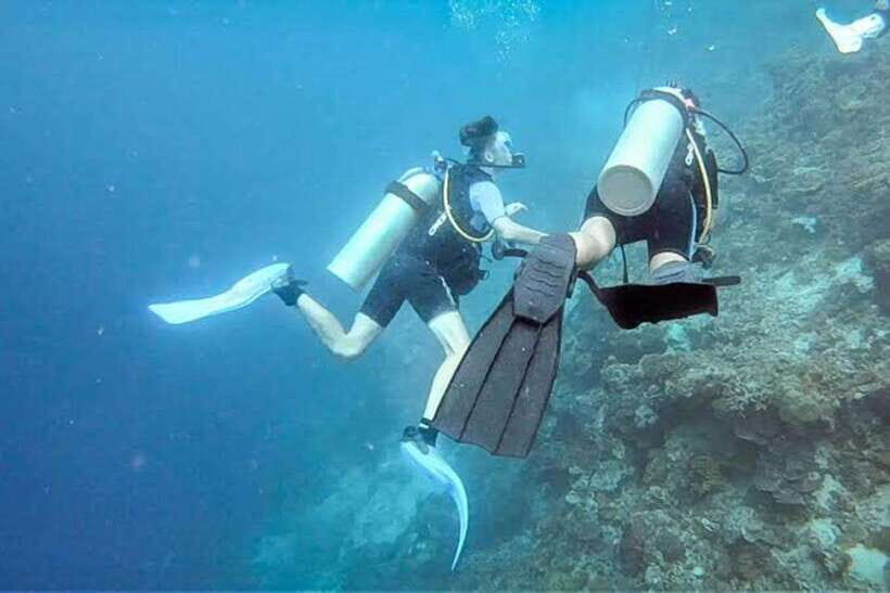 Cebu: Moalboal Scuba Diving, Sardines Run & Pescador Snorkel - Practical Details and Considerations