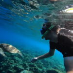 Cebu: Oslob Whale Shark and Moalboal Snorkeling Adventure - Why This Tour Might Be Perfect for You