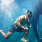 Cebu: Oslob Whale Shark Encounter & SUMILON with Transfers - What’s Included and What’s Not