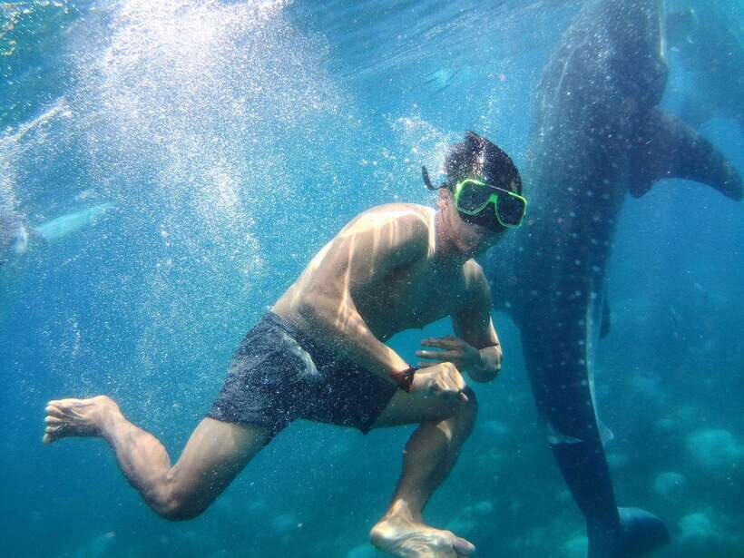 Cebu: Oslob Whale Shark Encounter & SUMILON with Transfers - What’s Included and What’s Not