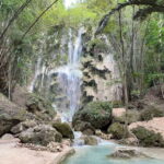 Cebu: Oslob Whale Shark Swimming - A Deep Dive into the Experience