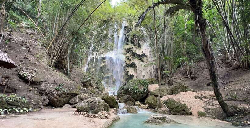 Cebu: Oslob Whale Shark Swimming - A Deep Dive into the Experience