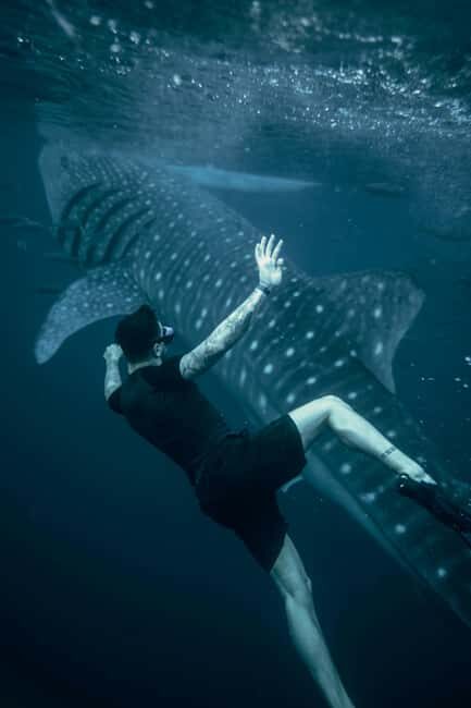 Cebu Oslob Whale Shark Swimming & Kawasan Falls Canyoneering - What’s Included & Practical Tips