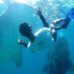 Cebu: Oslob Whale Shark Watching Tour with Hotel Transfer - What to Expect from the Tour