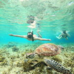 Cebu: Oslob Whaleshark & Sardines Run Snorkeling Day Tour - What’s Included and What to Expect