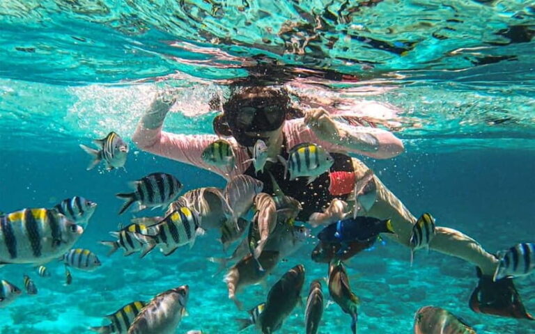 Cebu: Private Mactan Island Hopping Tour with Lunch - The Food and Beverage Experience