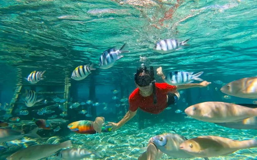 Cebu: Private Mactan Island Hopping Tour with Lunch - Caohagan Island: A Peek into Local Life  