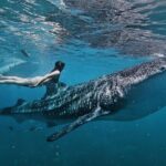 Cebu Tour Package 3D2N - Analyzing the Cost and Overall Value