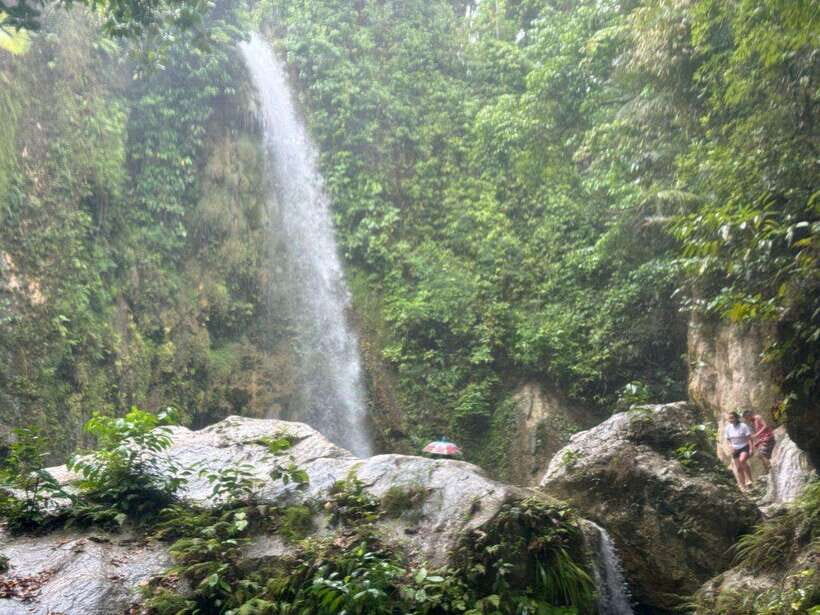 Cebu: Whale Shark, Inambakan Falls & Moalboal Sardine Tour - What Makes This Tour Stand Out?