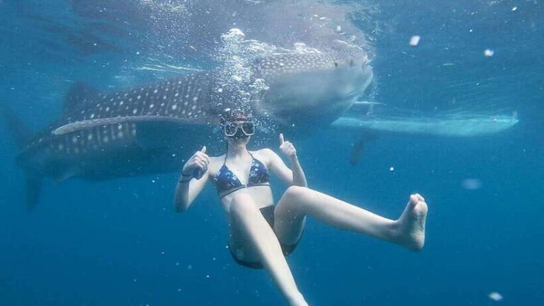 Cebu: Whale Shark Watching and Canyoneering Group Tour - What Makes This Tour a Great Value
