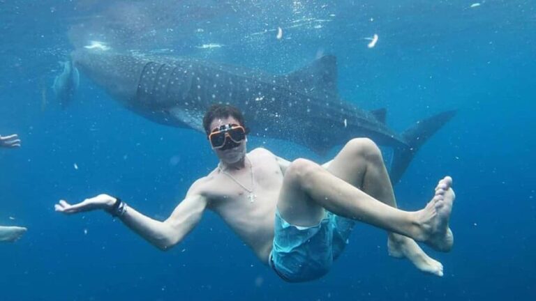 Cebu: Whale Shark Watching & Heritage Tour with Dive Option - What to Expect and Practical Tips