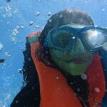 Cebu: Whale Sharks, Kawasan Falls, & Sardines Run Snorkeling - What Its Like to Travel with Enjoy Cebu Travel and Tours