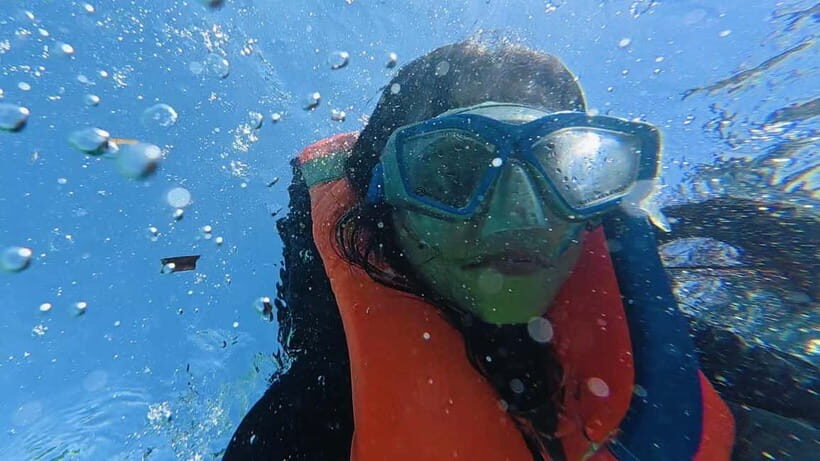 Cebu: Whale Sharks, Kawasan Falls, & Sardines Run Snorkeling - What Its Like to Travel with Enjoy Cebu Travel and Tours