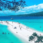 Cebu Whale Sharks Tumalog Falls Sumilon - The Full Experience: What to Expect