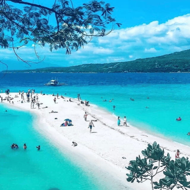 Cebu Whale Sharks Tumalog Falls Sumilon - The Full Experience: What to Expect
