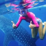 Cebu: Whaleshark Encounter, Sumilon Sandbar & Tumalog Tour - Practical Details and What You Should Know
