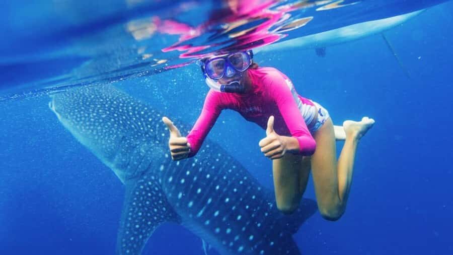 Cebu: Whaleshark Encounter, Sumilon Sandbar & Tumalog Tour - Practical Details and What You Should Know