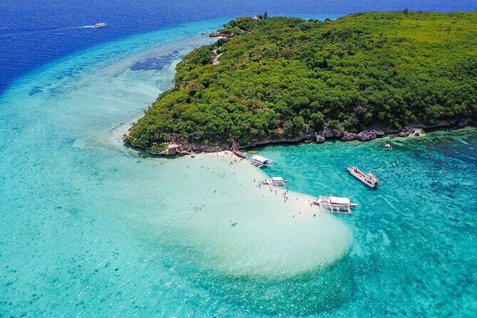 Cebu Whaleshark Watching w/ Sumilon Island Hopping - Transportation and Comfort