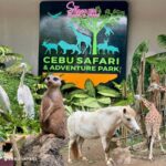 Cebu: Wildlife & Adventure Safari Experience - An In-Depth Look at the Safari Experience
