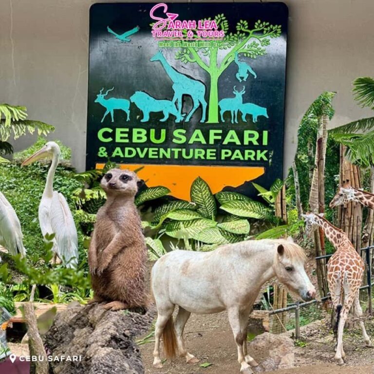 Cebu: Wildlife & Adventure Safari Experience - An In-Depth Look at the Safari Experience