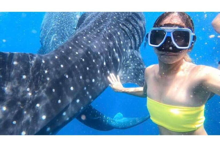 Cebu:Whale Shark, Waterfall, and Sardine Run Group Tour+Meal - Practical Details: What Makes This Tour Stand Out
