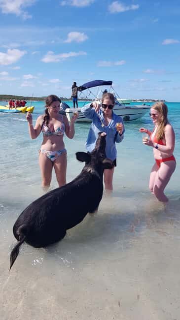 Center Console Private Bahamas Boat Charter - Exploring the Itinerary and What You Can Expect