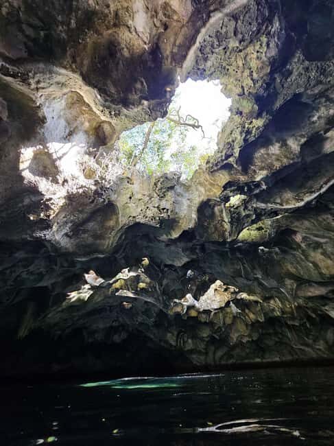 Central Long Island 3 Hour Guided Land Tour - A Deep Dive into the 3-Hour Experience