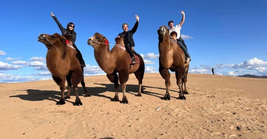 Central Mongolia Guided 3-Day Comfortable Tour - What’s Included and What is Not