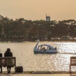 Certified by Fukuoka: A Photogenic Tour to Visit Beautiful Spots with Kimono on! - Who Should Consider This Tour?