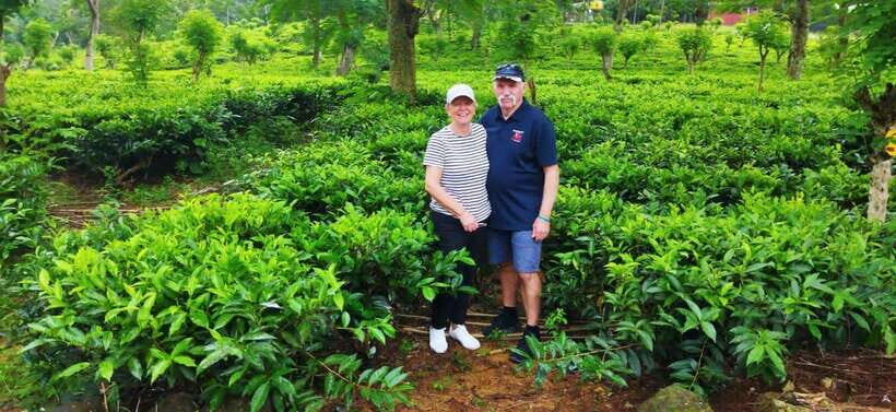 Ceylon Tea Experience from Colombo Port Passenger Terminal - Why This Tour Offers Great Value