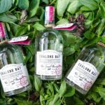 Chalong Bay Rum Tasting Session - Why This Experience Offers Good Value